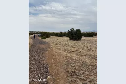 78 County Road 8010, Concho, AZ 85924 - Photo 1