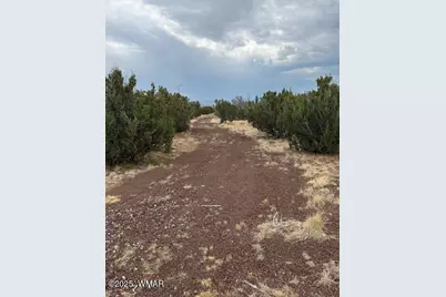 82 County Road 8010, Concho, AZ 85924 - Photo 13