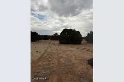 31 County Road 3044, Concho, AZ 85924 - Photo 13