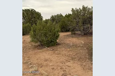 31 County Road 3044, Concho, AZ 85924 - Photo 3