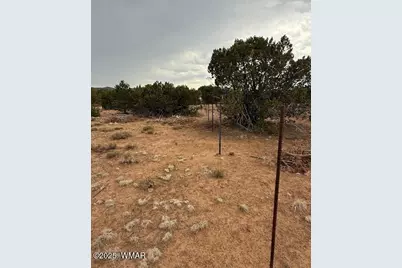 31 County Road 3044, Concho, AZ 85924 - Photo 1