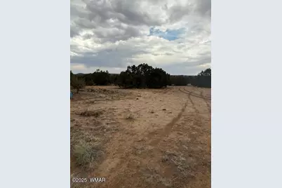 31 County Road 3044, Concho, AZ 85924 - Photo 11