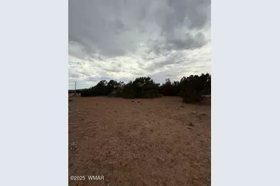 35 County Road 3044, Concho, AZ 85924 - Photo 13