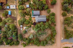 2933 Wildcat Trail, Overgaard, AZ 85933 - Photo 39