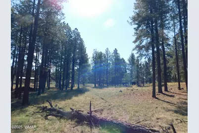 Unk 1.17 Ac Unk, Greer, AZ 85927 - Photo 9