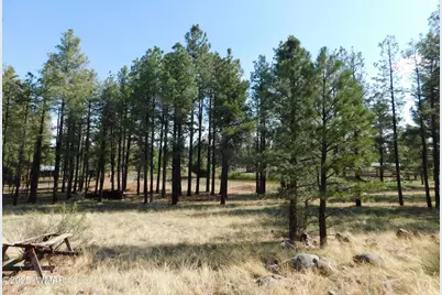 Unk 1.17 Ac Unk, Greer, AZ 85927 - Photo 7