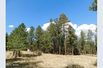 Unk 1.17 Ac Unk, Greer, AZ 85927 - Photo 3