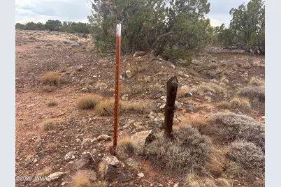 9223 Golden Horse Lane, Snowflake, AZ 85937 - Photo 33