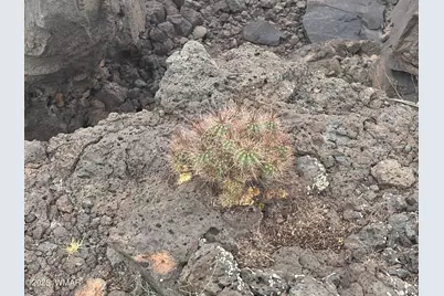 9223 Golden Horse Lane, Snowflake, AZ 85937 - Photo 17