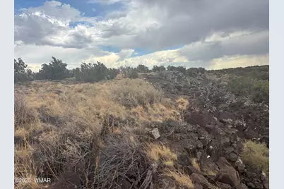 9223 Golden Horse Lane, Snowflake, AZ 85937 - Photo 15