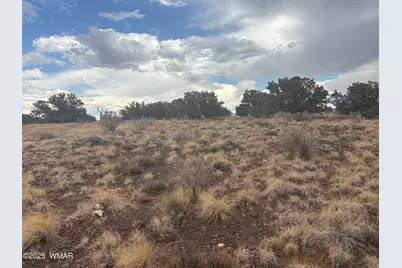 9223 Golden Horse Lane, Snowflake, AZ 85937 - Photo 27