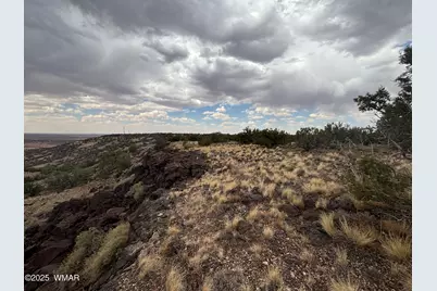 9223 Golden Horse Lane, Snowflake, AZ 85937 - Photo 3