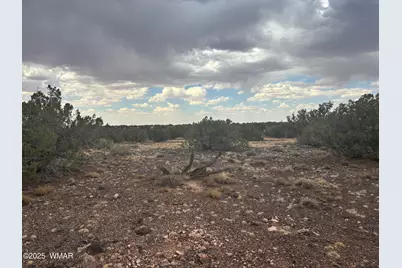 9223 Golden Horse Lane, Snowflake, AZ 85937 - Photo 29