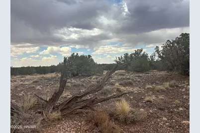 9223 Golden Horse Lane, Snowflake, AZ 85937 - Photo 31