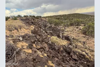 9223 Golden Horse Lane, Snowflake, AZ 85937 - Photo 13