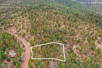 14 County Rd 2074, Alpine, AZ 85920 - Photo 9