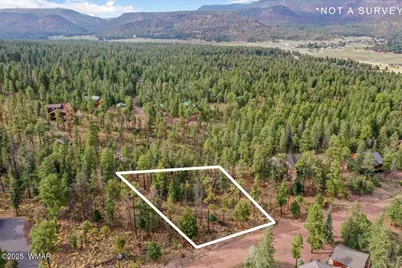 14 County Rd 2074, Alpine, AZ 85920 - Photo 5