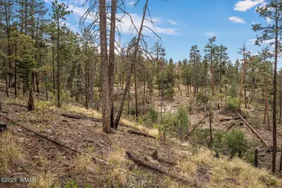 14 County Rd 2074, Alpine, AZ 85920 - Photo 3