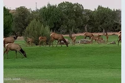 1855 Par Circle, Unit 201 #201, Show Low, AZ 85901 - Photo 15