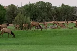 1855 Par Circle Unit 201, Show Low, AZ 85901 - Photo 15