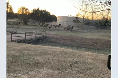 1855 Par Circle, Unit 201 #201, Show Low, AZ 85901 - Photo 21