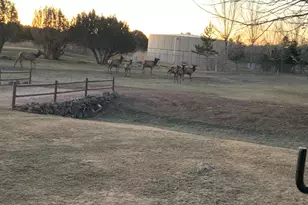 1855 Par Circle Unit 201, Show Low, AZ 85901 - Photo 21