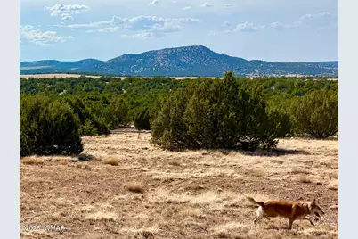 Tbd Co Rd N3109 9.11 Acres, Vernon, AZ 85940 - Photo 17