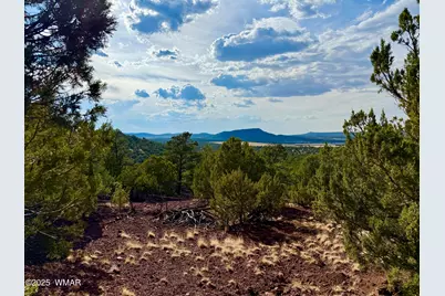 Tbd Co Rd N3109 9.11 Acres, Vernon, AZ 85940 - Photo 19