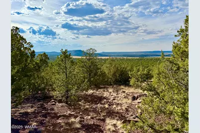 Tbd Co Rd N3109 9.11 Acres, Vernon, AZ 85940 - Photo 5