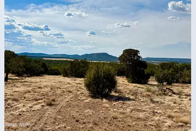 Tbd Co Rd N3109 9.11 Acres, Vernon, AZ 85940 - Photo 25