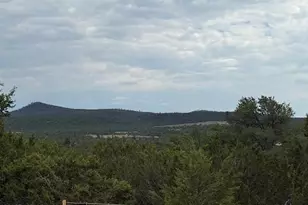 Tbd Cr 3076-C, Vernon, AZ 85940 - Photo 1