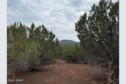 Tbd Cr 3076-C, Vernon, AZ 85940 - Photo 5