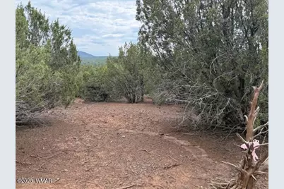 Tbd Cr 3076-D, Vernon, AZ 85940 - Photo 3