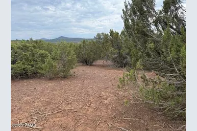 Tbd Cr 3076-D, Vernon, AZ 85940 - Photo 7