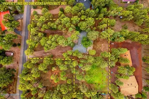 538 S Woodland Ln, Pinetop, AZ 85935 - Photo 33