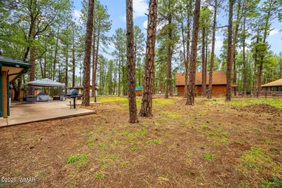 538 S Woodland Lane, Pinetop, AZ 85935 - Photo 27