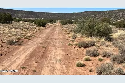 3871 Del Contento Road, Snowflake, AZ 85937 - Photo 5