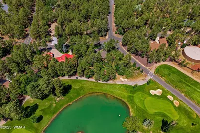 6503 Buck Springs Road, Pinetop, AZ 85935 - Photo 49