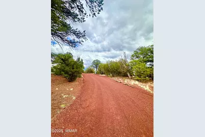 35445 Az-61, Vernon, AZ 85940 - Photo 5