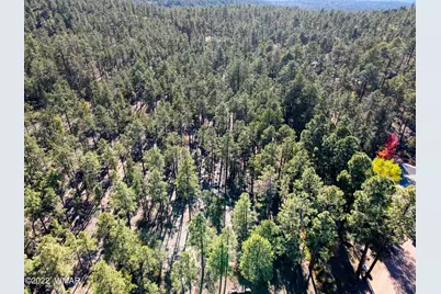 040C Vallery Lane, Lakeside, AZ 85929 - Photo 3