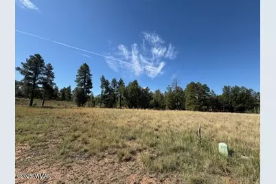 2201 W Edgewater, Show Low, AZ 85901 - Photo 5