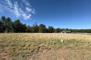 2201 W Edgewater, Show Low, AZ 85901 - Photo 1