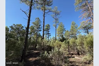 2100 W Whispering Springs, Show Low, AZ 85901 - Photo 5