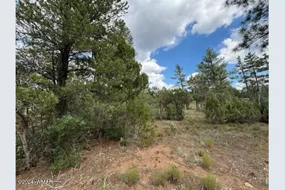 1541 S Braden Court, Show Low, AZ 85901 - Photo 5