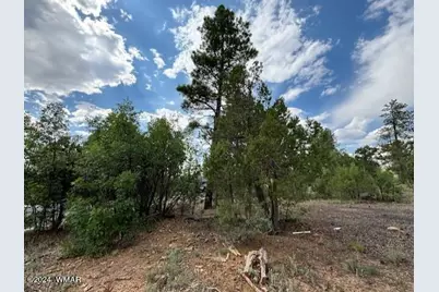 1541 S Braden Court, Show Low, AZ 85901 - Photo 3