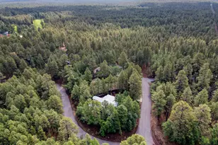 6450 Cinder Mountain Dr, Pinetop, AZ 85935 - Photo 43
