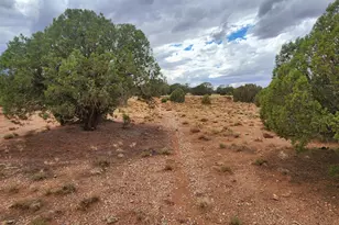 4229 Mountain View Rd, Snowflake, AZ 85937 - Photo 15