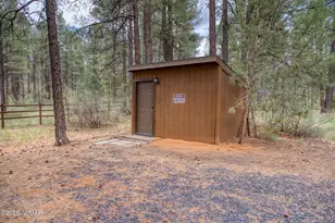 5160 W Tatanka Loop, Show Low, AZ 85901 - Photo 21