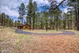 5160 W Tatanka Loop, Show Low, AZ 85901 - Photo 23