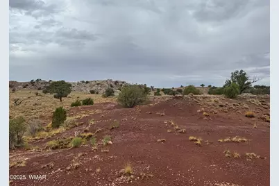 Tbd (Lot 231) N9326, Concho, AZ 85924 - Photo 9